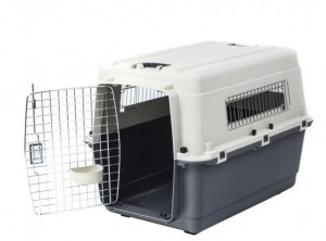  экрана 2022-03-29 122907